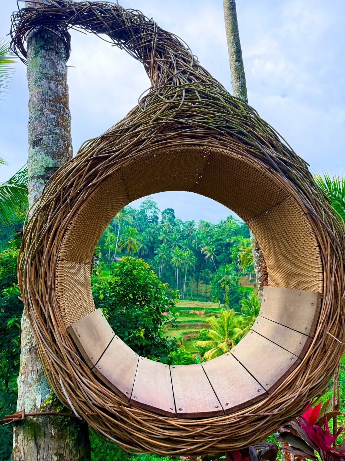 A landscape viewed through a circular woven frame
